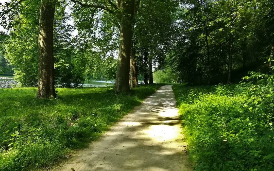 Lire encore Rousseau ? Ou juste demander un résumé…