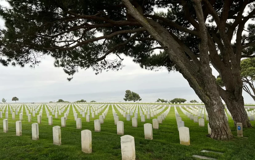 Les fruits, les vêtements et les jours : joli, mais inutile